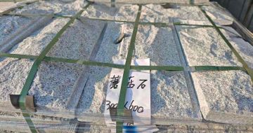 濮阳芝麻白蘑菇石，自然面